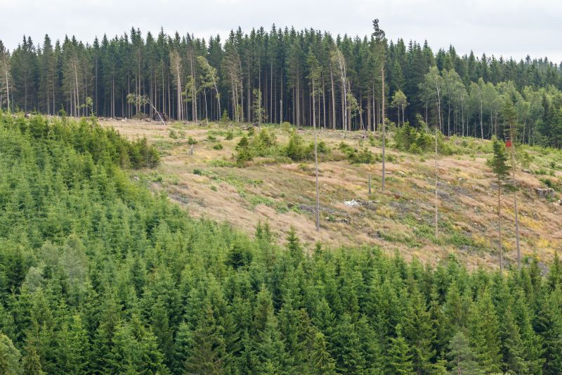 Products For Slab Cuttings in use